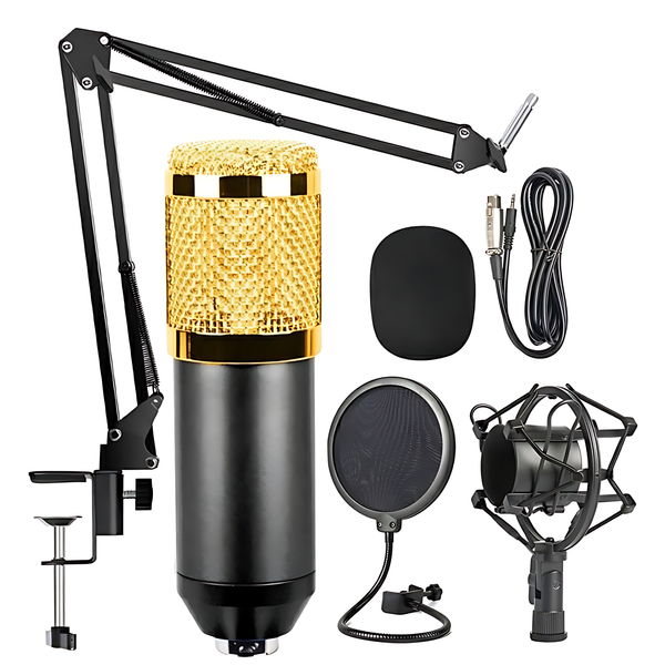 Professional Studio Broadcasting Recording Condenser Microphone Set - iCase Stores