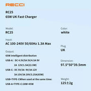 Recci Fast Charging Travel Super-SI 65W