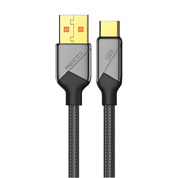 Recci Voyage Series Type-C Fast Charging Data 100W / 1.5m