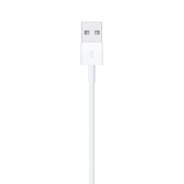 Apple Lightning to USB Cable (2m)